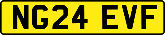 NG24EVF