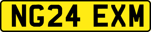 NG24EXM