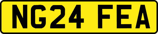 NG24FEA
