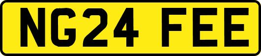 NG24FEE