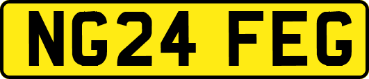 NG24FEG