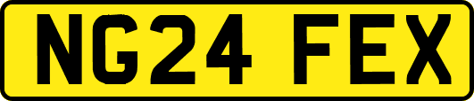 NG24FEX