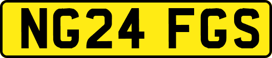 NG24FGS
