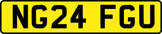 NG24FGU