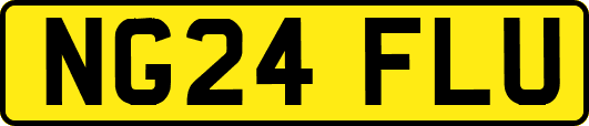 NG24FLU