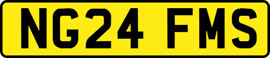 NG24FMS