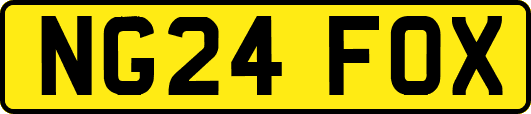NG24FOX