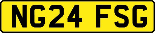 NG24FSG