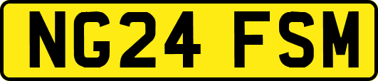 NG24FSM