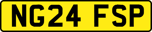 NG24FSP