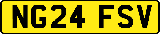 NG24FSV