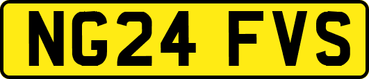 NG24FVS