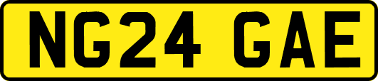 NG24GAE