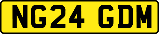 NG24GDM