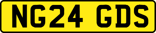 NG24GDS