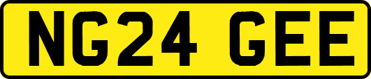 NG24GEE