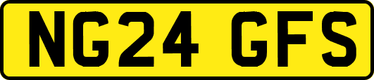 NG24GFS