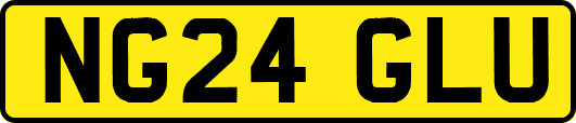 NG24GLU