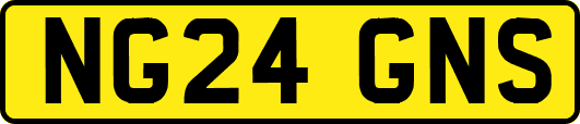 NG24GNS