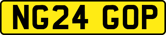 NG24GOP