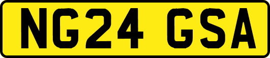 NG24GSA