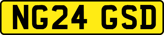 NG24GSD
