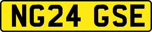 NG24GSE