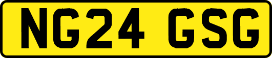 NG24GSG