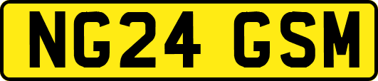 NG24GSM