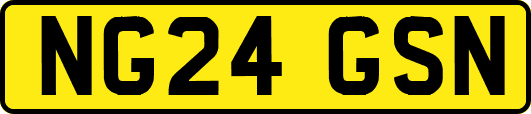 NG24GSN