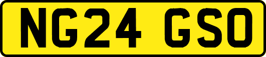 NG24GSO