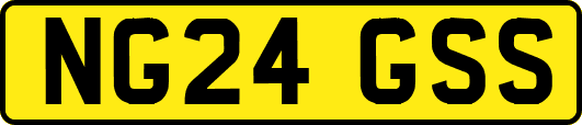 NG24GSS