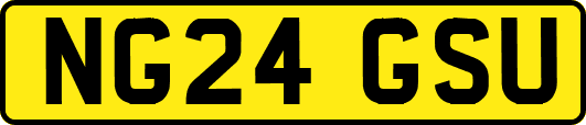 NG24GSU