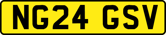 NG24GSV