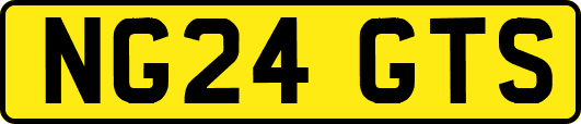 NG24GTS