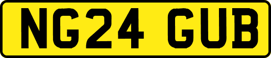 NG24GUB
