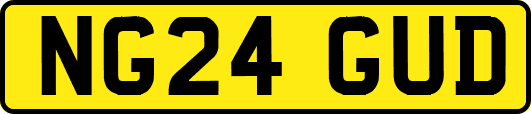 NG24GUD