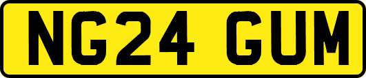 NG24GUM