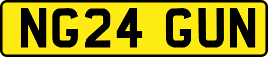 NG24GUN