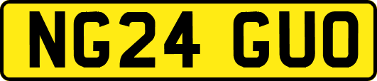 NG24GUO
