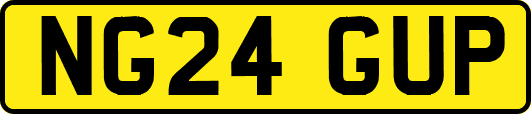 NG24GUP
