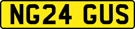 NG24GUS