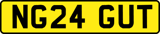 NG24GUT