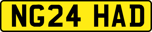 NG24HAD