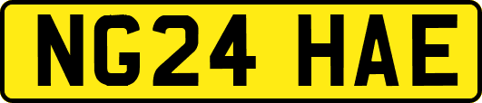 NG24HAE
