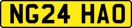 NG24HAO