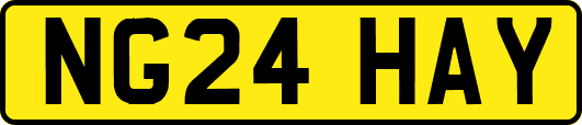 NG24HAY
