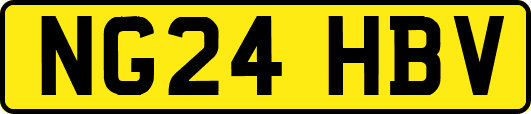NG24HBV
