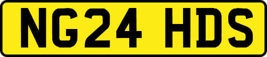 NG24HDS