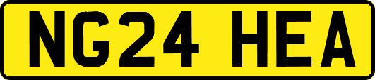 NG24HEA